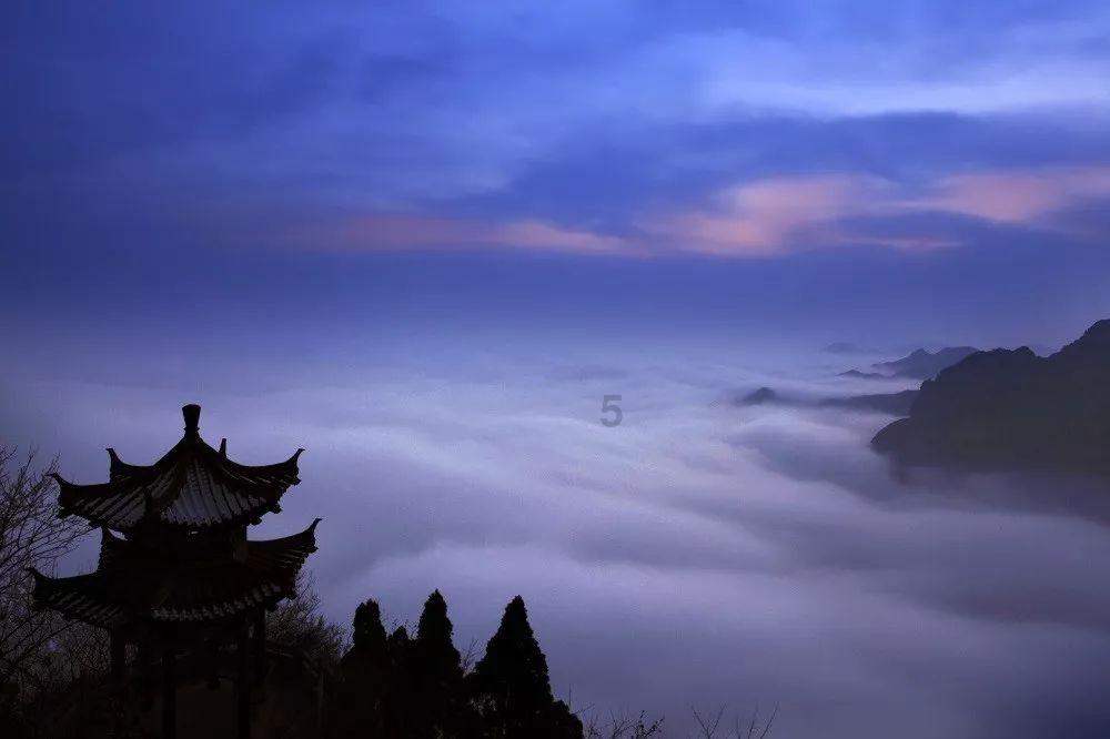 揭秘广西隐藏款特产：特色产业领跑 打造乡村振兴新密码